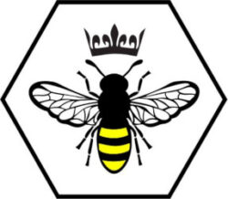 Queenbee – Méhviaszos kendők és tasakok